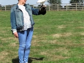 Customer Photo of Falconry at Hatton Country World Warwick